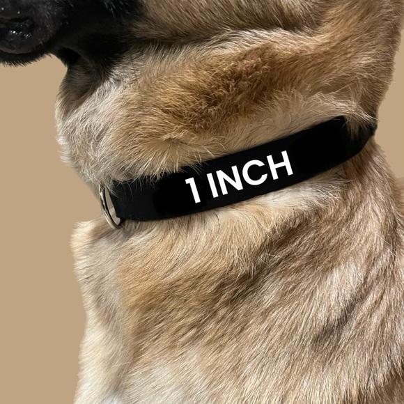 Cannabis Dog Collar - Picture 5 of 8